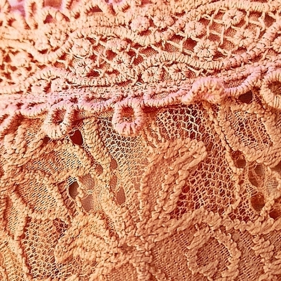 𝅺Miss Chevious LG Peony Pink Vtg Victorian Boho Long Sleeve Lace Blouse - Picture 7 of 8